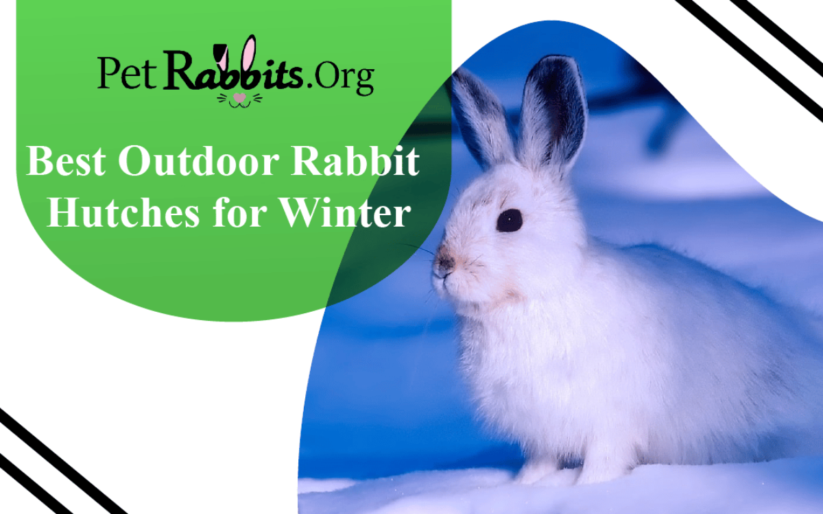 Best Outdoor Rabbit Hutches for Winter Pet Rabbits